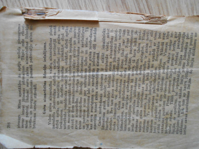 DSCN5357.JPG