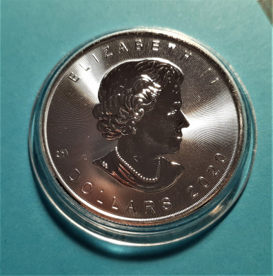 canadian 2020 a.jpg