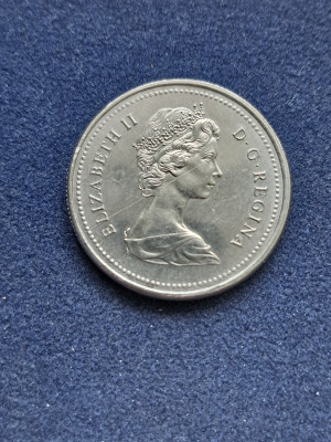 11 006.jpg