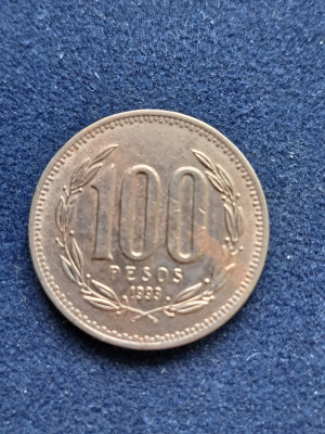 11 024.jpg