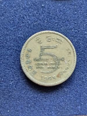 11 040.jpg
