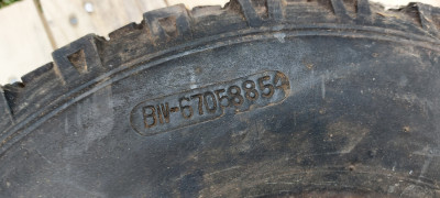 20250605_092012.jpg