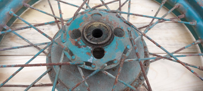 20250605_092107.jpg