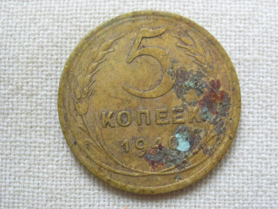 P1010005.JPG