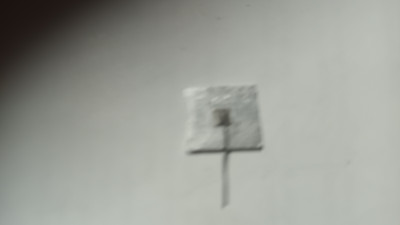 20250605_142906.jpg