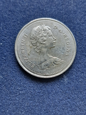 11 061.jpg