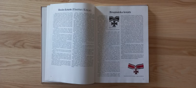 20250606_153127.jpg