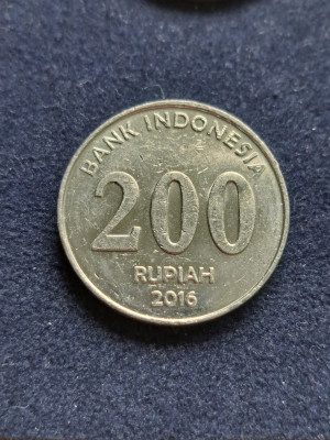 12 029.jpg