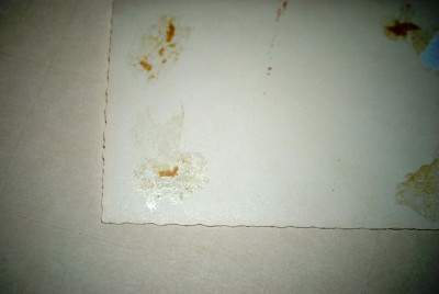 DSC_0012.JPG