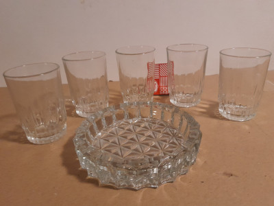20250607_124445.jpg