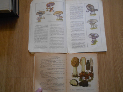 DSCN4842.JPG