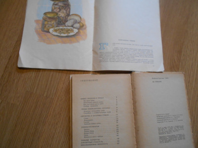 DSCN4843.JPG