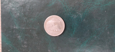 20250610_142607.jpg