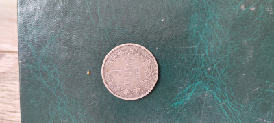 20250610_142737.jpg
