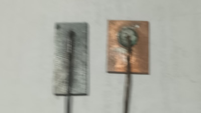 20250611_125226.jpg
