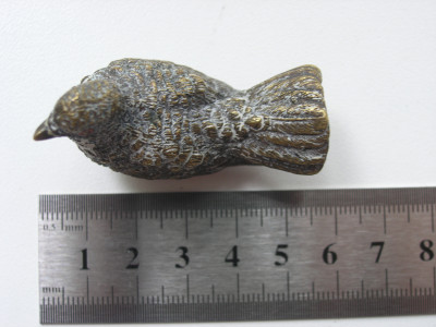 P1010009.JPG