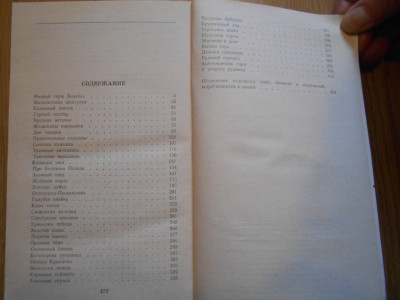 DSCN5455.JPG