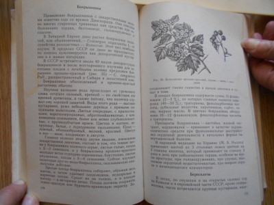 DSCN4298.JPG