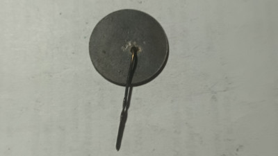 20250612_115010.jpg