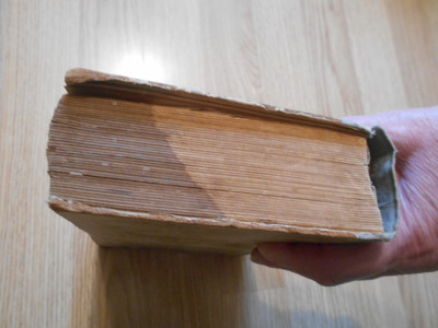 DSCN5546.JPG