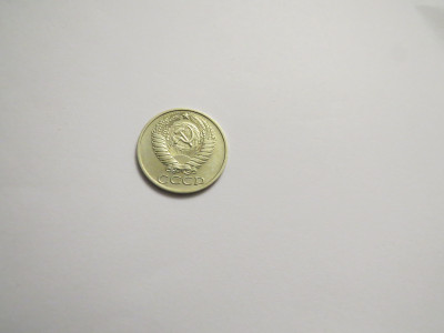 IMG_7375.JPG