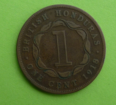 100.JPG