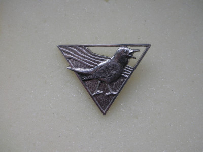 DSCN0917.JPG
