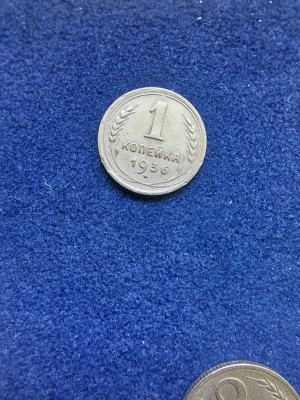 19-1 029.jpg