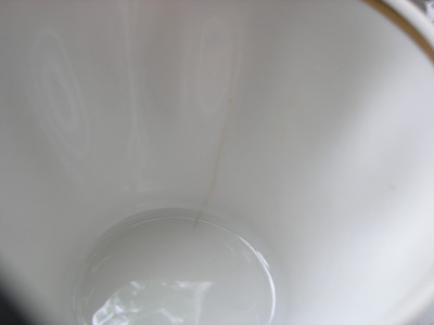 P1010005.JPG