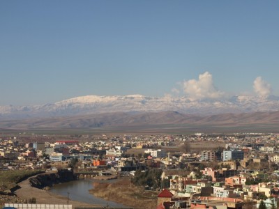 P2036954.jpg