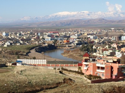 P2036982.jpg