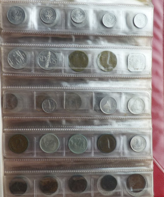 37.JPG