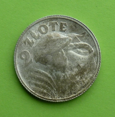 100.JPG