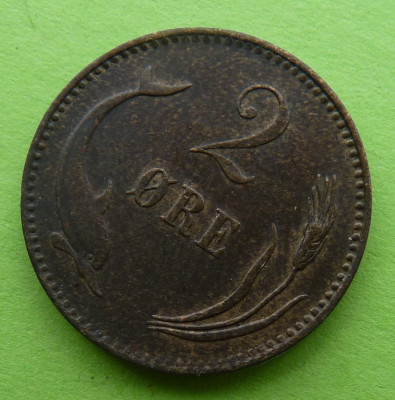 100.JPG