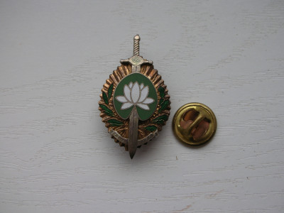 DSCN8960.JPG
