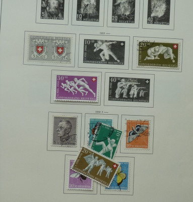 103.JPG