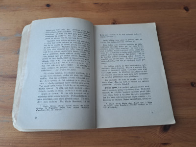 20250727_121341.jpg