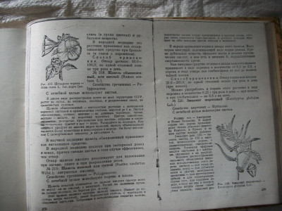 100_0516.JPG