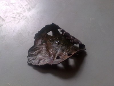 07062012274.jpg
