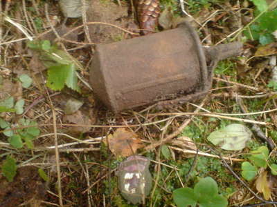 DSC00016.JPG