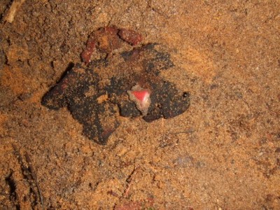 DSCF2322.jpg
