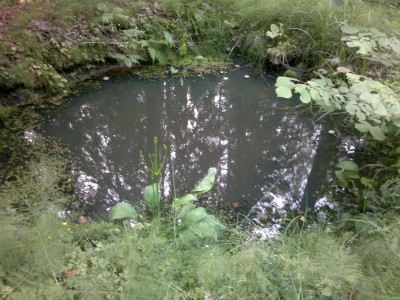 2012-07-17-331.jpg