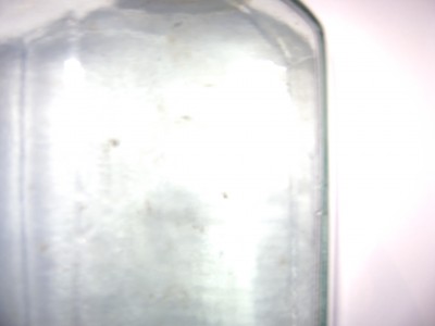 DSC06147.JPG