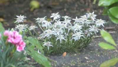 IMG_2364.1.jpg