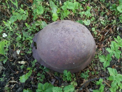IMG021.jpg