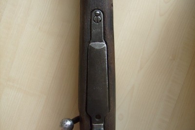 S7303442.JPG