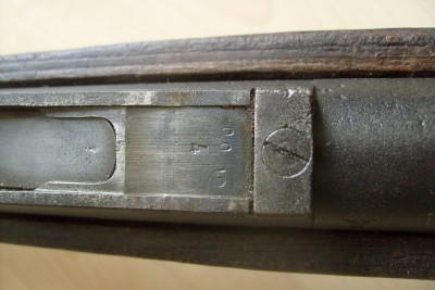 S7303446.JPG