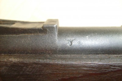 S7303449.JPG