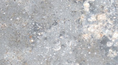 IMG_2484.JPG