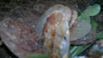 12062012079.jpg